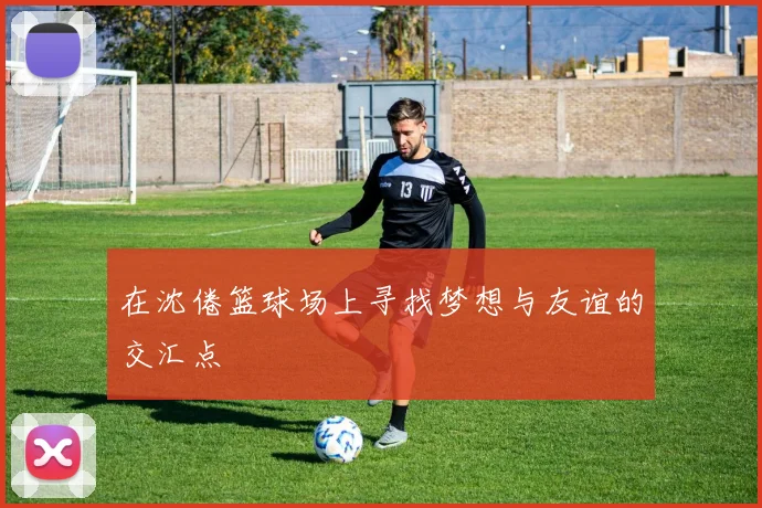 在沈倦篮球场上寻找梦想与友谊的交汇点