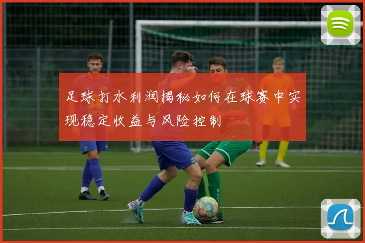 足球打水利润揭秘如何在球赛中实现稳定收益与风险控制