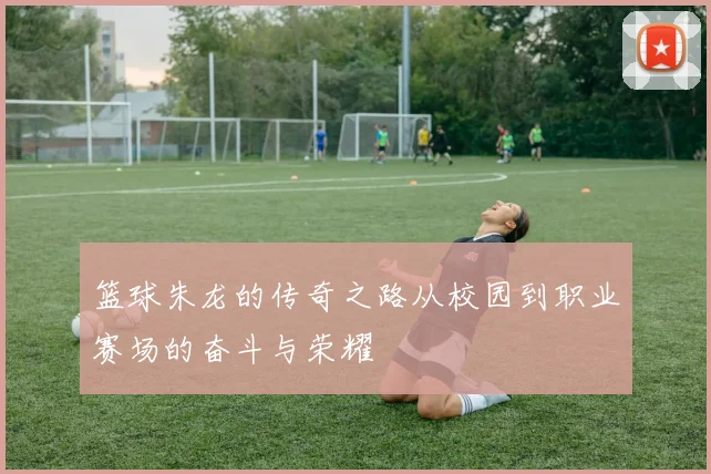 篮球朱龙的传奇之路从校园到职业赛场的奋斗与荣耀