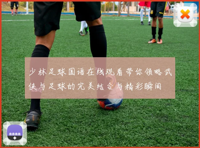 少林足球国语在线观看带你领略武侠与足球的完美结合与精彩瞬间