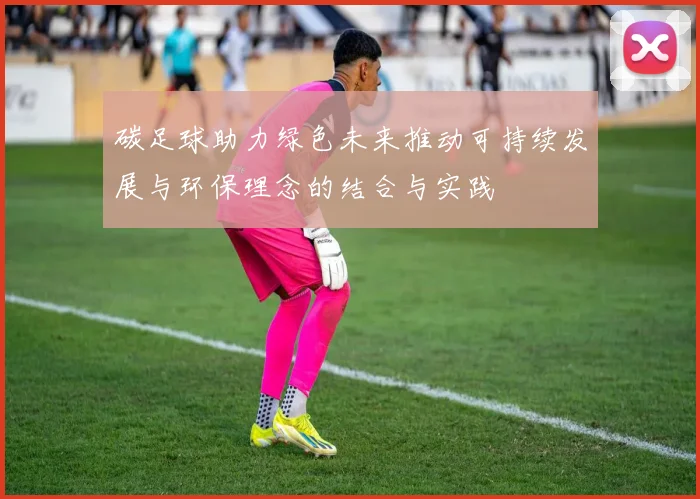 碳足球助力绿色未来推动可持续发展与环保理念的结合与实践