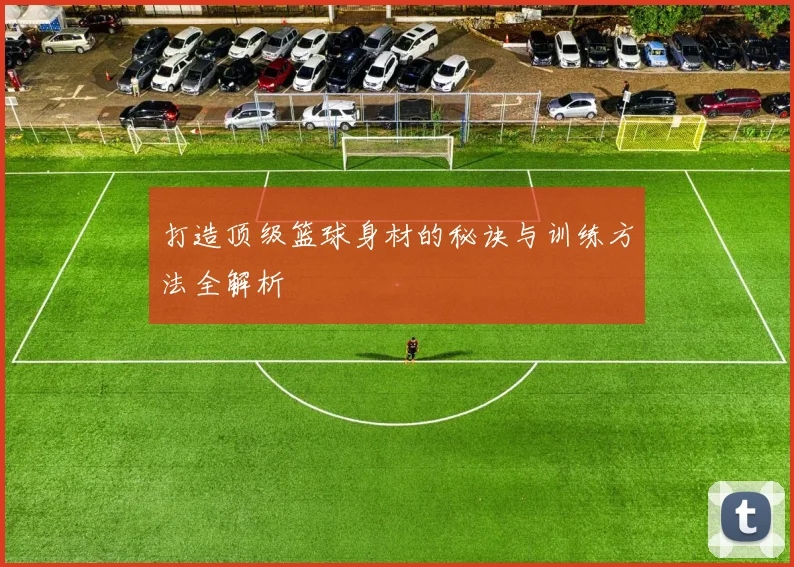 打造顶级篮球身材的秘诀与训练方法全解析